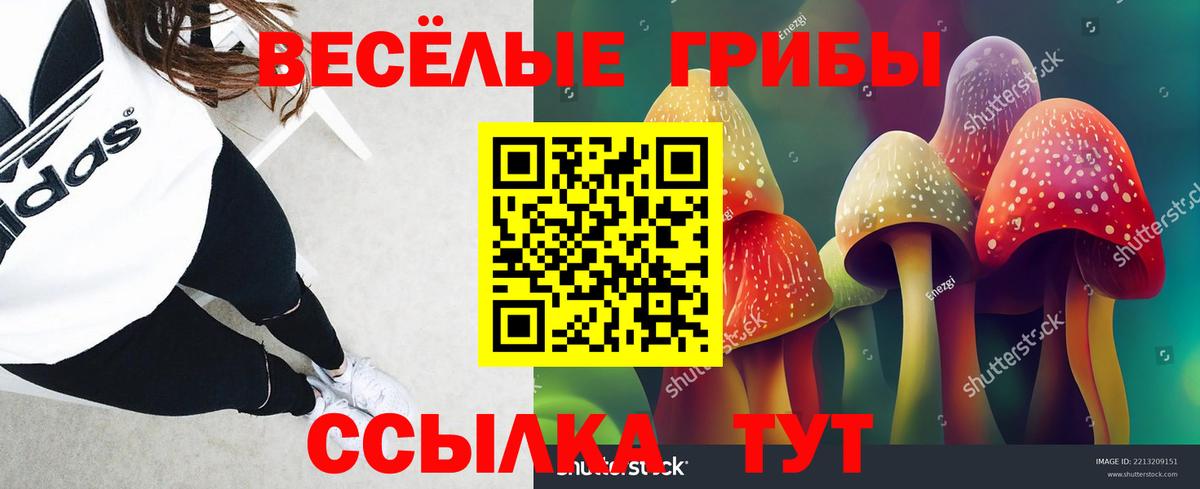 магазин продажи наркотиков  Псилоцибиновые грибы Psilocybe  Вход с VPN  Баксан 